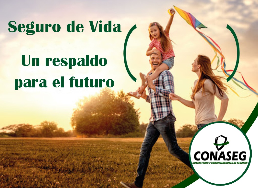 Odoo • Imagen y texto